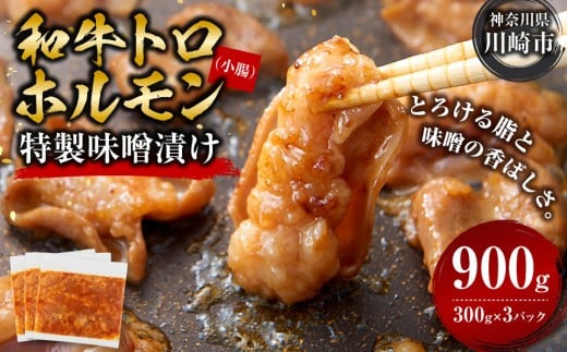 
            トロホルモン 味噌漬け 900g ( 300g × 3 ) プリプリ 小分け 使いやすい 味付き 調理便利 野菜炒め ホルモン炒め 訳あり 不揃い 和牛 小腸 冷凍 配送時期が選べる 個包装 冷凍保存 アウトドア キャンプ おすすめ 人気
          