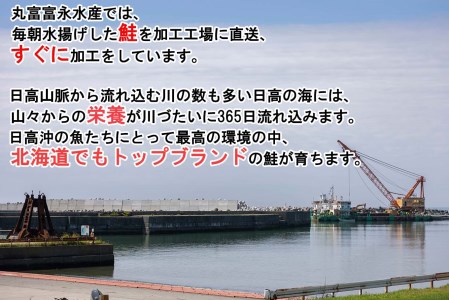北海道産 新巻鮭 網元特製 半身2切れ 2kg 前後