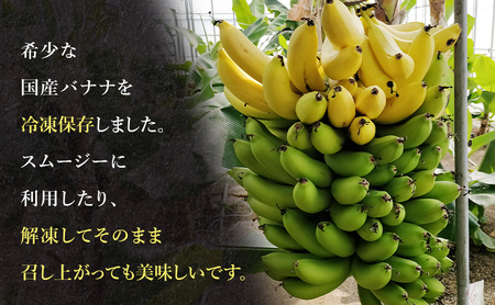 幻の品種 グロスミッシェル種 千葉市産 冷凍バナナ 1kg バナナ 果物 フルーツ 冷凍 千葉市
