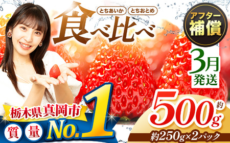【3月発送】いちご とちおとめ・とちあいか 食べ比べ 500g
