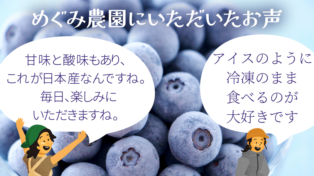 【 最短 7日以内 発送 】 冷凍 ブルーベリー 無選別（ 小玉 ～ 大玉 ） 500g 数量限定 国産 フルーツ スムージー 果物 くだもの 農家直送 スイーツ アイス ノーザンハイブッシュ系 ミックス [AT012tu]