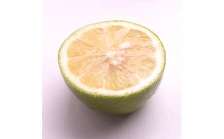 ＜先行予約＞わけあり レモン2.5kg+250g（傷み補償分）【和歌山有田産】【防腐剤・WAX不使用、安心の国産レモン】【わけあり・訳ありレモン】 ※2025年9月上旬頃〜2026年4月下旬頃に順次発