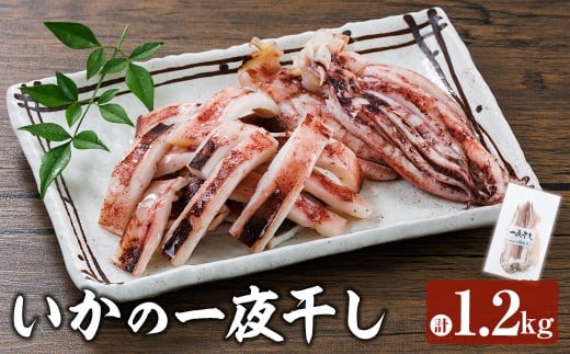 いかの一夜干し (計1.2kg) 魚介 いか イカ 烏賊 一夜干し 冷凍 おつまみ スルメイカ するめいか するめ 国産 【opar002】【磯武】