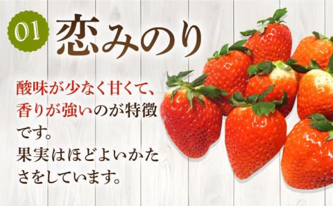 【全3回定期便】《2月3月4月お届け》壱岐島産いちご1kg （250g×4パック）恋みのり・さがほのかミックス [JEM002]