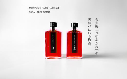 970.MIYAYOSHI No.03・09 2P SET LARGE BOTTLE（A970-2）