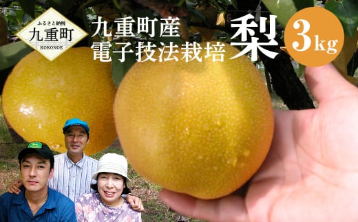  九重町産 電子技法栽培 梨 3kg 果物 大分県産 (二十世紀・豊水・あきづき・新高・新興 いずれか一種)  【2025年9月上旬-12月上旬発送予定】