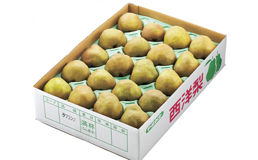 先行予約 ラ・フランス ◯秀品 約5kg(12~20個程度) 11月中旬~12月中旬頃発送 山形県産 フルーツ 果物 くだもの ラフランス 洋梨 西洋梨 令和8年産 2026年産 佐竹物産 sb-la