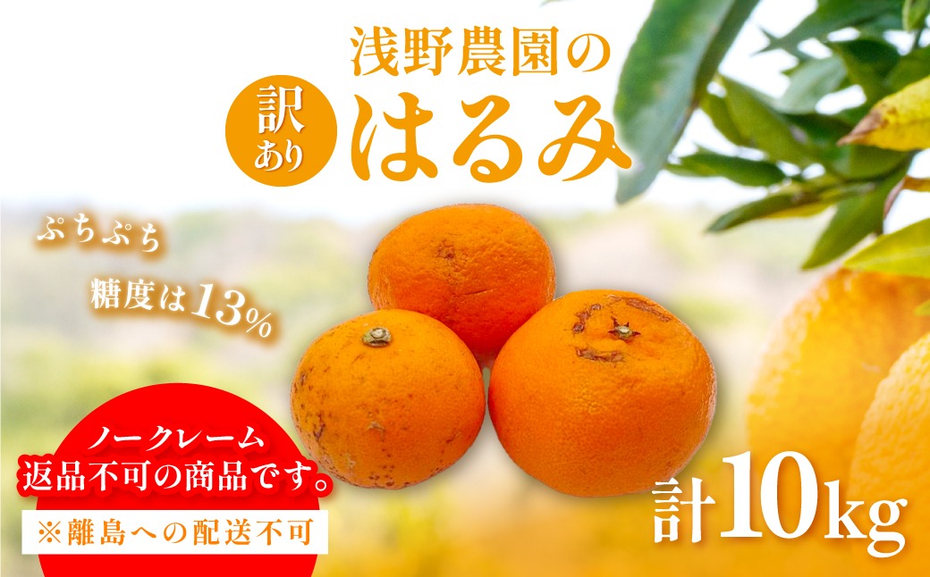 【先行予約】【訳あり】はるみ計10kg※離島への配送不可（2027年2月中旬頃より順次発送予定）IKTAC032