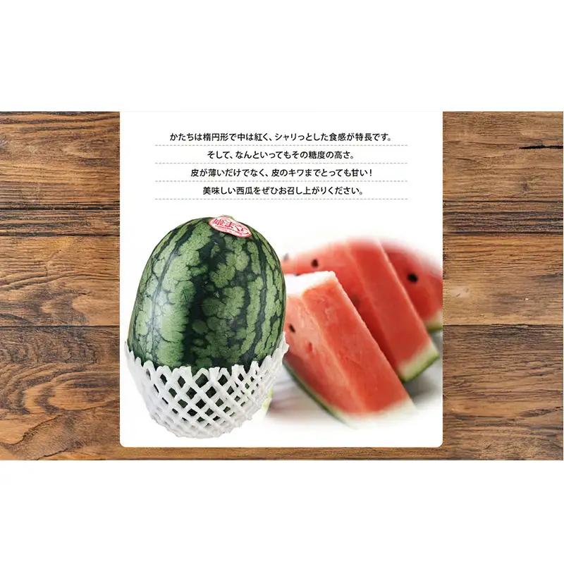 【浜松市産】小玉すいか 姫まくら 2個入 約5kg すいか スイカ 西瓜 果物 くだもの フルーツ プレゼント お中元 糖度 静岡 浜松市【配送不可：離島】 