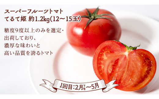 《 2027年 2月下旬開始 》全4回 定期便 贅沢 フルーツ 満喫コース  KEK 国産 トマト フルーツトマト スイカ いちご メロン くだもの 果実 春 夏 秋 冬 特選 厳選 アド街ック天国 