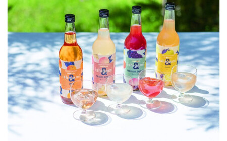 梅酒 ishigami&（イシガミアンド) 600ml×4本セット / 石神邑梅酒 田辺市 梅干し 梅干 梅 うめ 梅ジュース 梅酒 セット 炭酸割り 紀州産 フルーツ【isg039-1】
