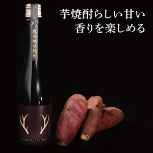 芋焼酎 500ml 2本セット 鹿島焼芋 焼芋焼酎