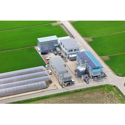 ふるさと納税 南砺市 富山県産こしひかり　育(はぐくみ)贈答用　300g(2合)セットB　《南砺の逸品》 |  | 02