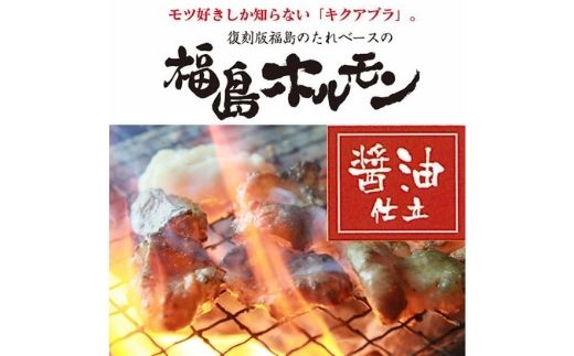 【ふるさと納税】No.1243　ふくしまご当地！福島ホルモン　醤油仕立て　麓山高原豚使用　【10パック入】