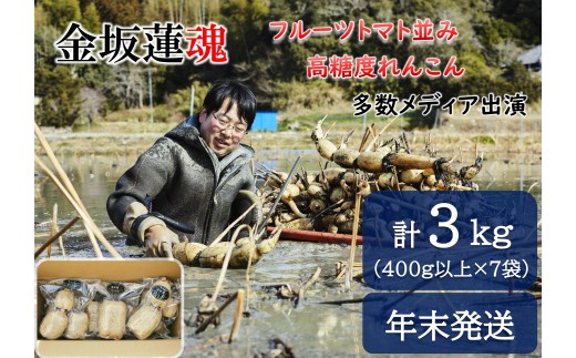 【年末発送】【先行予約】千葉県産 れんこん真空パック×７袋(計3kg)自然栽培【金坂蓮魂】 CNX006