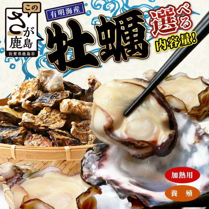 【ふるさと納税】有明海産 牡蠣 選べる1kg～3kg 養殖 殻付き 生牡蠣 加熱調理用 | 新鮮 海鮮 水産 魚介類 貝 佐賀県産 カキ かき レンジで簡単調理 旬 お取り寄せ グルメ 夕食 おつまみ おかず ふるさと 人気 佐賀県 鹿島市 送料無料 B-567