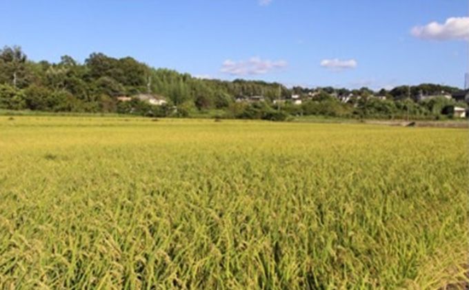 杲流 純米吟醸 夢吟香 720ml