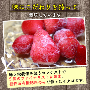植物系有機肥料のいちご 瑠璃の宝箱 冷凍いちご オーガニックイチゴ 計1kg 【いちご】