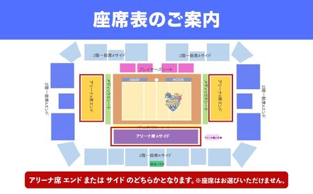 埼玉上尾メディックスホームゲーム観戦チケット1名分 (開催日時3月15日) バレーボール 観戦チケット 試合 メディックス 埼玉県 上尾市