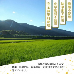米 令和7年産 自然栽培米 ヒノヒカリ ＜農薬を一切使わない無肥料栽培＞精米（八分つき米）米3kg　《京都丹波産 最高良食味 人気品種 精米仕立て》