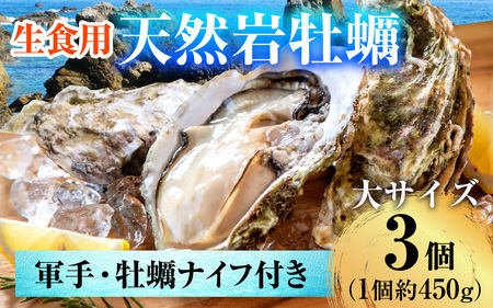 【先行予約】【加福鮮魚】若狭湾　生食用　天然岩牡蠣　大3個（軍手、牡蠣ナイフ付き）【2025年6月下旬より順次発送】  小浜市 / 加福鮮魚 [BFBC008] 【配送不可地域：北海道・沖縄・離島】 