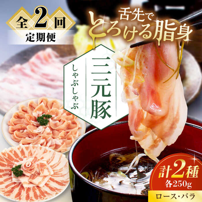【ふるさと納税】 定期 三元豚 しゃぶしゃぶセット 500g ロース・バラ ▼ 全2回 定期便 だし・昆布ナシ 《喜茂別町》【平田牧場】 肉 豚肉 ロース バラ ロース肉 バラ肉 しゃぶしゃぶ 鍋 お鍋 冷凍配送 北海道 平田牧場 おすすめ [AJAP078] 18000 18000円