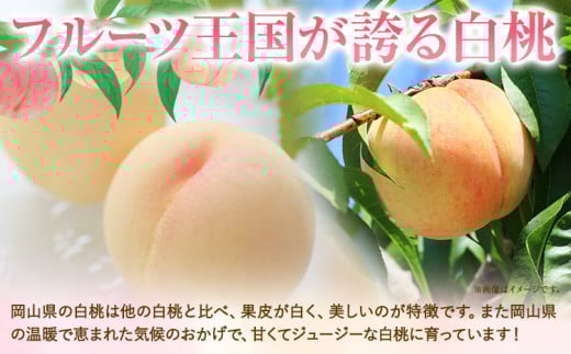 【2026年発送先行予約】ご家庭用　おかやまの桃　約1.8kg《2026年7月上旬-8月下旬頃出荷》