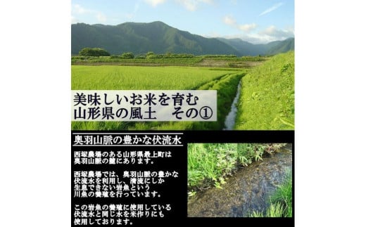 【令和6年産予約】特別栽培米　つや姫　玄米　20kg(10kg×2)
