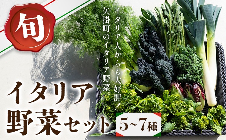 
                  旬のイタリア野菜セット 5～7種 先行予約 《2026年11月下旬-3月中旬頃出荷》JA晴れの国 矢掛アグリセンター 野菜 ねぎ ネギ 国産 イタリア リーキ プレコーチェ カタローニャ ルーコラ ズッキーニ トマト 玉ねぎ 西洋 野菜  送料無料
                