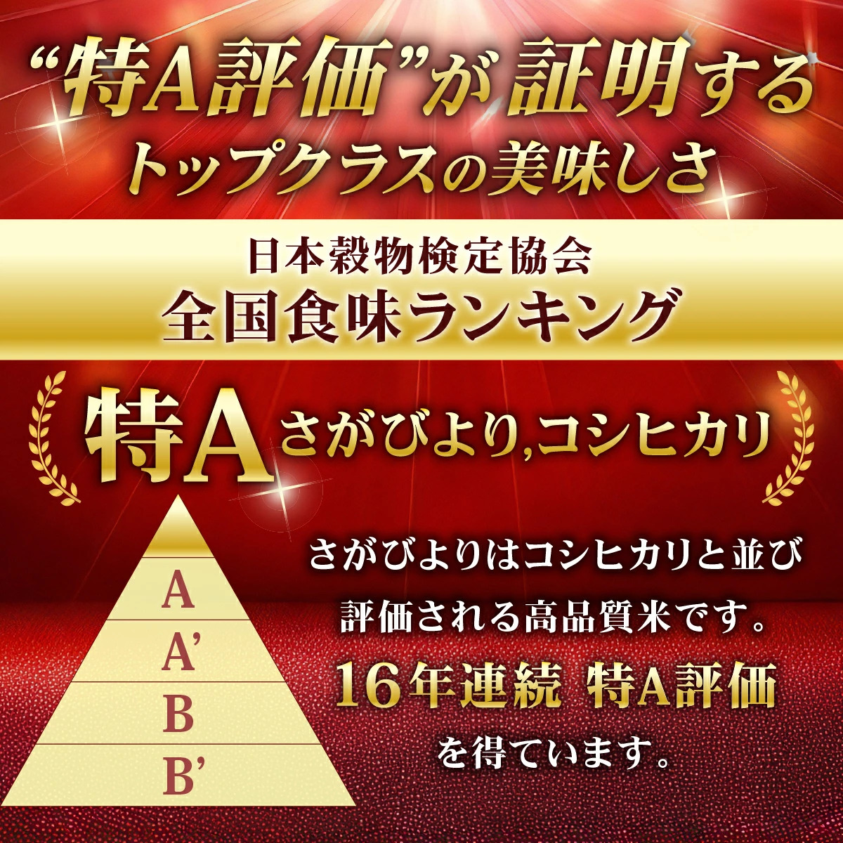 《10月下旬順次発送》令和8年産 新米 さがびより 佐賀県産（精米）20kg_イメージ3