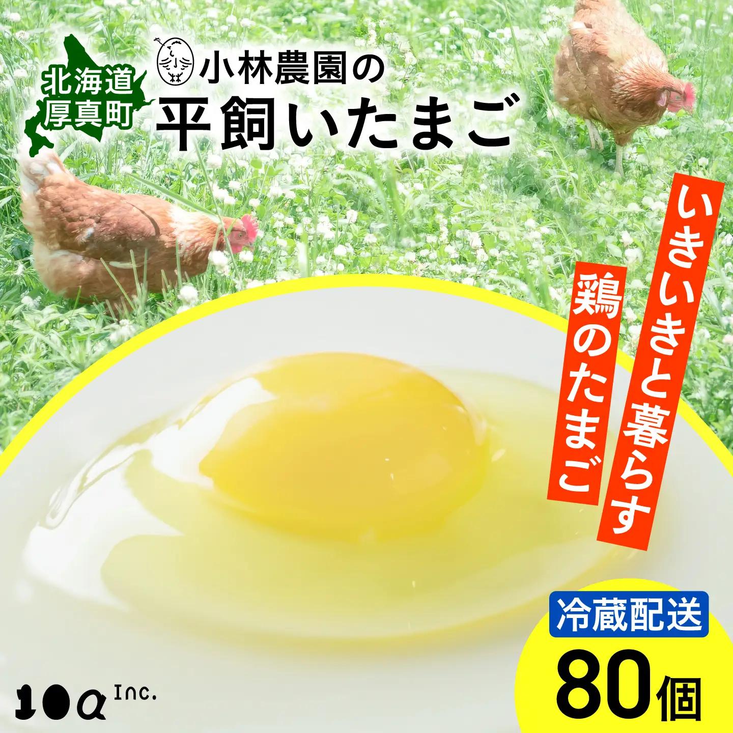平飼い有精卵 80個 冷蔵便 北海道 [AXAN075]