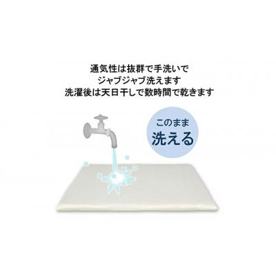 ふるさと納税 三原市 ペット用 洗える ベッド 単品 S アイボリー(68×47×3)[016-100] |  | 01