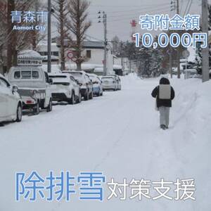 【返礼品なし】世界一の豪雪都市!雪に強い持続可能な都市づくり　10,000円