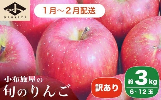 ［訳あり］ 旬のりんご 約3kg 6～12玉 ［小布施屋］ 傷 規格外 不揃い 訳アリ 家庭用 りんご 林檎 リンゴ 果物 フルーツ 長野県産 信州産 特産 産地直送 産直 数量限定 先行予約 令和7年度産 【2025年1月〜2月配送】［A-304d］
