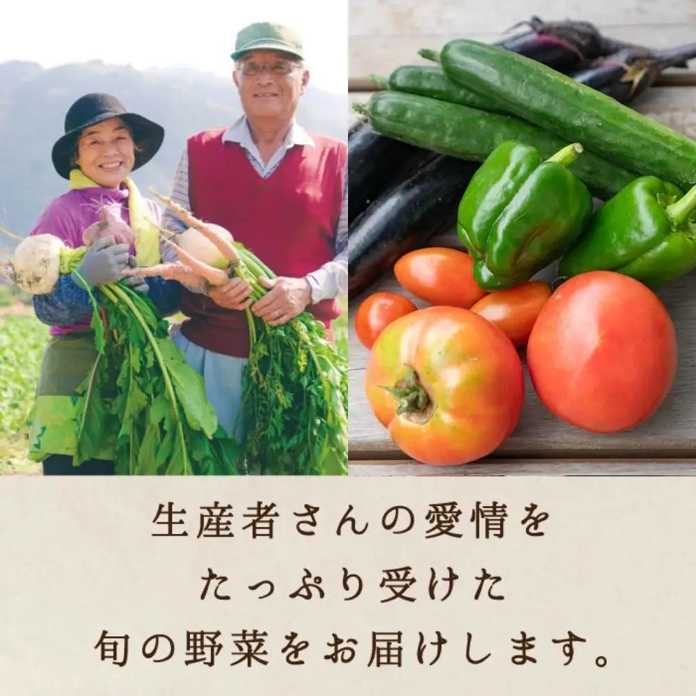 ふるさとお節介ギフト【夏】 (2026年7月上旬～8月下旬発送予定) / 先行予約 産地直送 農家 新鮮 あぐりガーデン 夏野菜 カット野菜 国産 たまご 平飼い卵 岡山県 真庭市  yasai034