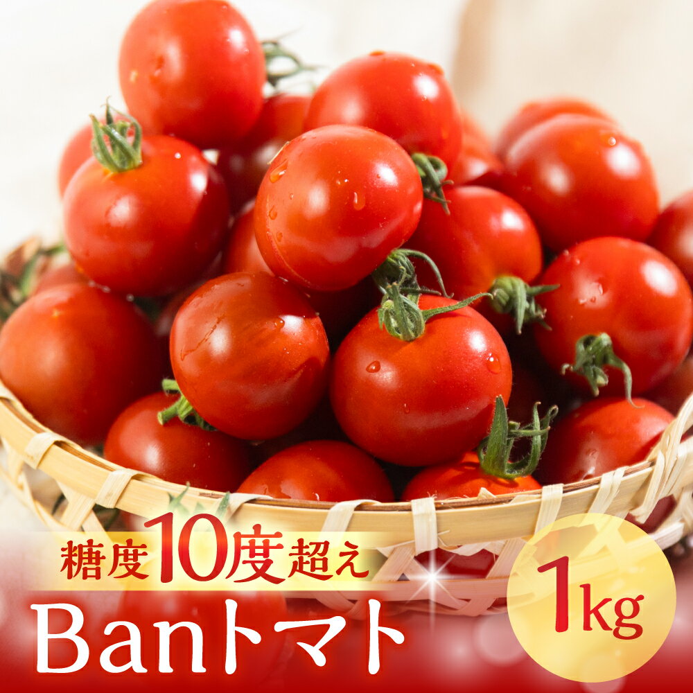 【ふるさと納税】≪先行予約≫糖度10度以上 トマトの甘さ、旨みを最大限に引き出したこだわりの『Banトマト』1kg トマト 人気 甘い 高糖度 愛知県 豊橋市 野菜 フルーツ 果物 やさい 濃厚 フルティカ 中玉トマト 高評価