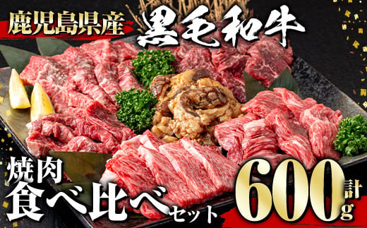 
鹿児島県産黒毛和牛 焼肉食べ比べセット(600g) 黒毛和牛 和牛 牛肉【1129】A359-v01
