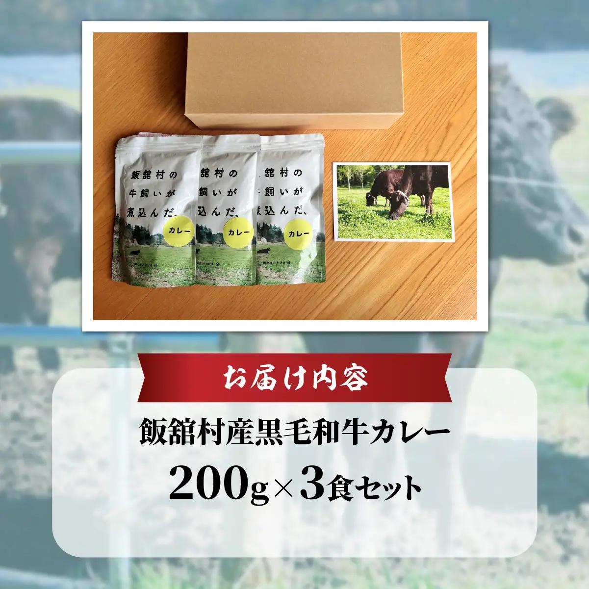 飯舘産黒毛和牛カレー　3食セット ITTAH008
