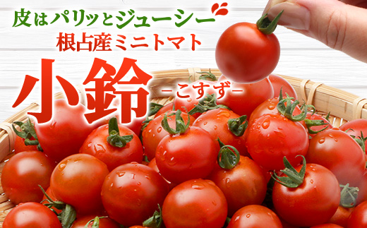 【先行予約】田淵さんちの美味しい ミニトマト 小鈴 2kg（1kg×2箱）｜鹿児島県 南大隅 産地直送 旬 とまと ミニトマト 野菜 やさい 送料無料 ≪2025年11月より順次発送≫