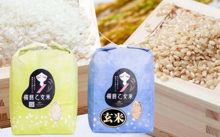 備前乙女米 白米 2kg×1袋・玄米 2kg×1袋（計約4kg）【2026年10月下旬～2027年9月下旬迄発送予定】 ／ 2種類 お米 米 おこめ こめ コメ ご飯 ライス 精米 モチモチ 石原果樹