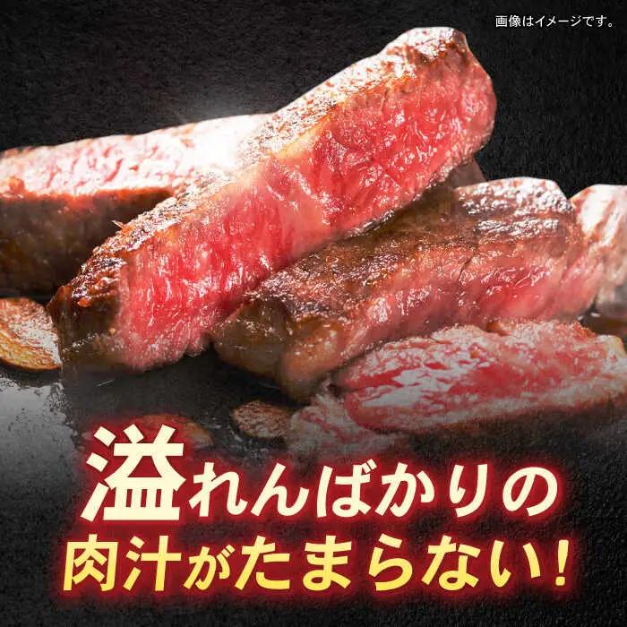 長崎和牛 サーロインステーキ 500g(250g×2) / 牛肉 ぎゅうにく 和牛 国産牛 肉 にく ステーキ すてーき サーロイン / 諫早市 / 肉の牛長 諫早店 [AHEM001]