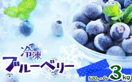 完熟 冷凍ブルーベリー 約 3kg