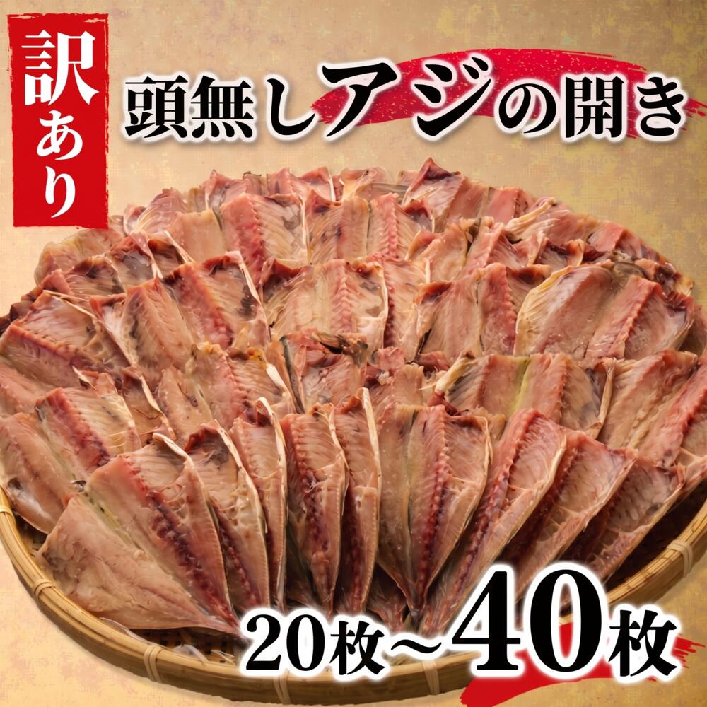 【ふるさと納税】 【発送月が選べる】 訳あり あじ 鯵 干物 ひもの 20枚 or 40枚 炭室熟成 あじの開き 頭なし 規格外 不揃い 冷凍 セット 詰め合わせ 魚介 海産物 おかず おつまみ 手軽 簡単調理 朝食 夕食 おかず 真あじ 干物セット 沼津市 静岡県