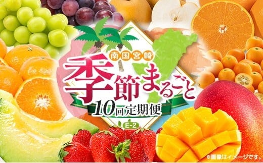 【10回定期便】旬 人気 フルーツ 南国宮崎産 マンゴー 金柑たまたま シャインマスカット ピオーネ いちご みかん 梨 メロン 柑橘 きんかん ぶどう 果物 詰め合わせ 宮崎県 九州＜E-2コース 