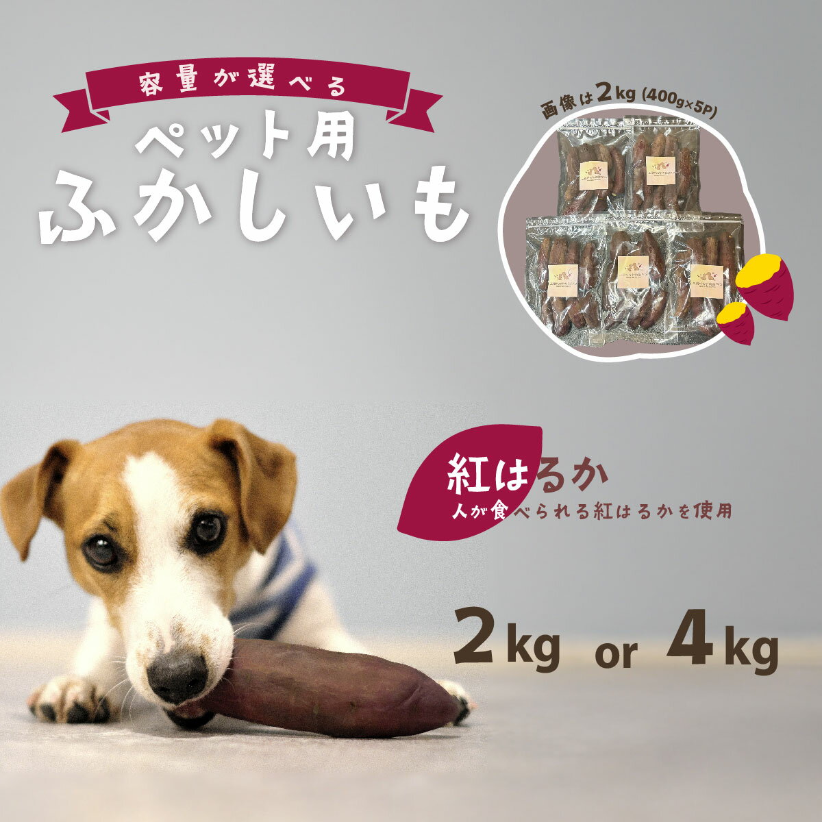 【ふるさと納税】選べる内容量 ペット用 ふかし芋 小芋 紅はるか 2kg 4kg ペットフード おやつ 無添加 ドックフード ペット用 さつまいも ヘルシー 犬 猫