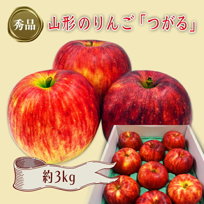【ふるさと納税】【2025年9月〜10月発送分先行受付】「秀品」山形のりんご（つがる）約3kg_H163(R7)