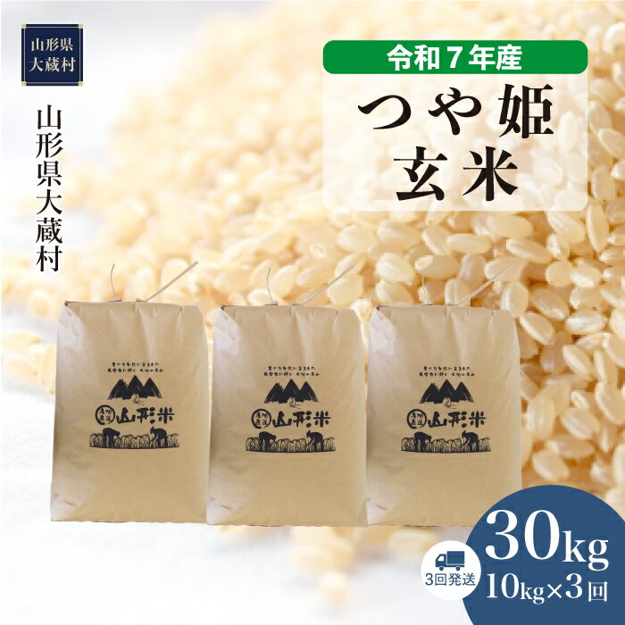 【ふるさと納税】＜令和7年産米＞ 大蔵村 つや姫 ＜玄米＞ 30kg定期便（10kg×3回お届け）