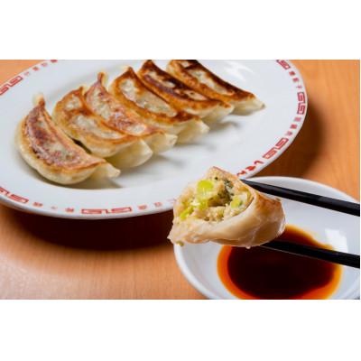 ふるさと納税 桐生市 タレなしでも美味しい!ラーメン屋さんの【うんめぇ肉野菜餃子】22g36個入　添加物・保存料不使用　