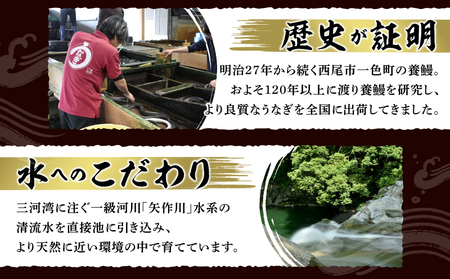 一色産うなぎ　無頭　長蒲焼２尾（240ｇ） 鰻 ウナギ うなぎ 蒲焼 国産 うなぎ蒲焼 タレ付き たれ 国産うなぎ 蒲焼き うな丼 丑の日 土用の丑の日・I048-13-1