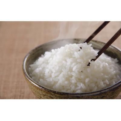 ふるさと納税 田村市 【無洗米】田村産天のつぶ5kg 【令和7年産】 |  | 01